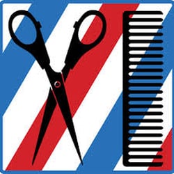 Max's Platinum Scissors - All American Style