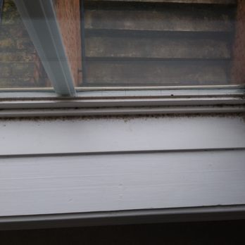 Ebright Engineering - Something grows on your window sills? Yes, that is black toxic mold. - Home Inspectors Near Me - Townsend, Delaware Ebright Engineering - Something grows on your window sills? Yes, that is black toxic mold. - Home Inspectors Near Me - Townsend, Delaware