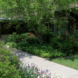 Deerfield Montessori School - Garden walk