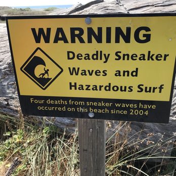 Gold Bluffs Beach & Campground - Beware of sneaker waves! - Campgrounds Near Me - Orick, California