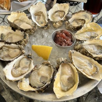 Drayton Harbor Oyster Company - Dozen oysters - Live/Raw Food Near Me - Blaine, Washington