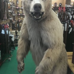 Lafayette Shooters - Bear!