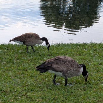 Bethany Lakes Park - Parks Near Me - Allen, Texas
