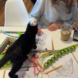 affoGATO Cat Café
