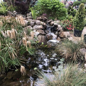 Logan's Garden Shop - Gorgeous pond on a cloudy day - Nurseries & Gardening Near Me - Raleigh, North Carolina