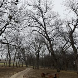 Freedom Dog Park