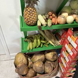 Envios Express & Mas Tienda Latina