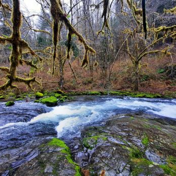 Sweet creek trail - Hiking Near Me - Mapleton, Oregon Sweet creek trail - Hiking Near Me - Mapleton, Oregon