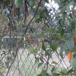 Polideportivo Irigoyen - Espiando un poco.