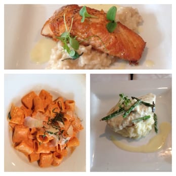 Blend By Chef Lou - Delicious shower cuisine..top salmon and risotto, bottom left penne vodka, bottom right chicken champagne with mashed potatoes - Venues & Event Spaces Near Me - Manasquan, New Jersey