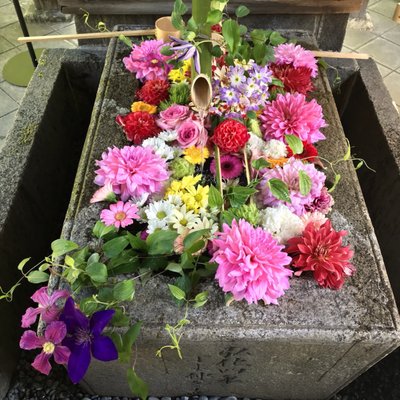 Shōrin-ji Temple by null