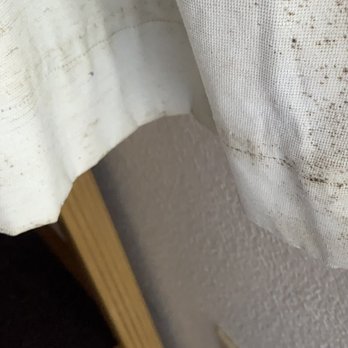 Bayview Inn - More mold - Hotels Near Me - Crescent City, California