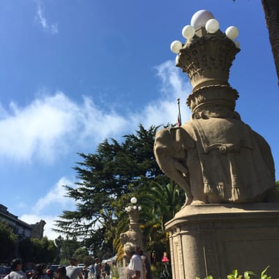 Viña del Mar Park by null