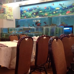好彩海鮮酒家 - Fresh fish for sale in dinner menu.  We had one (kind of like a halibut) and quite good.