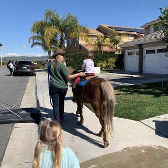 Party Ponies And Pets - Kids Activities Near Me - Pinon Hills , California Party Ponies And Pets - Kids Activities Near Me - Pinon Hills , California