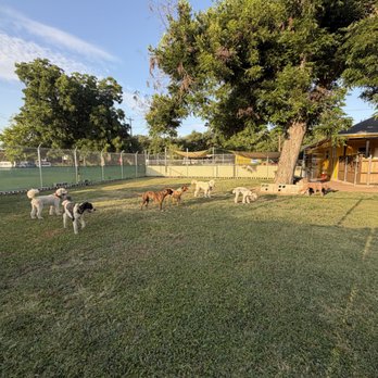 VIP Dog Hotel - Pet Groomers Near Me - Dallas, Texas VIP Dog Hotel - Pet Groomers Near Me - Dallas, Texas
