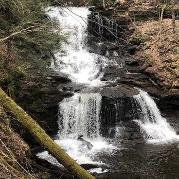 Ricketts Glen State Park - Parks Near Me - Benton, Pennsylvania