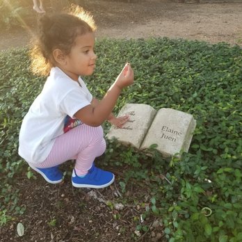 Landa Branch Library Playground - Finding the different books amongst the bushes was fun - Playgrounds Near Me - San Antonio, Texas