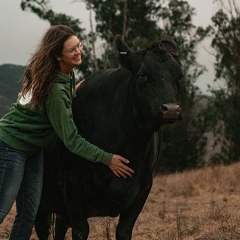 Boring Farm - Pick Your Own Farms Near Me - Sebastopol, California