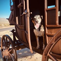 Stagecoach Trails Campground & RV Park