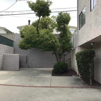 Cisnero's Tree Care - After - Tree Services Near Me Cisnero's Tree Care - After - Tree Services Near Me