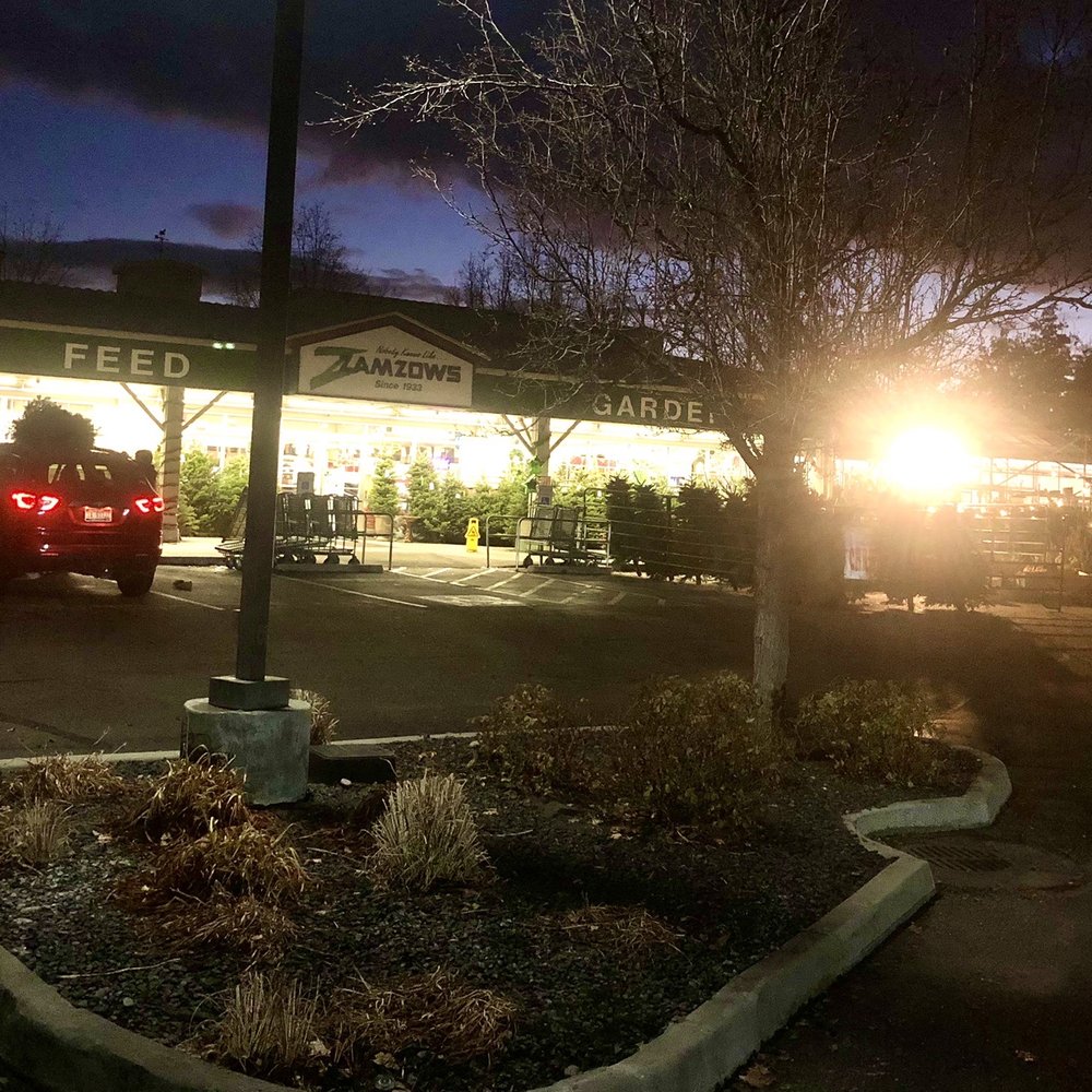 Zamzows - Christmas Trees are in as of 11/30/20 - Nurseries & Gardening Near Me - Eagle, Idaho Zamzows - Christmas Trees are in as of 11/30/20 - Nurseries & Gardening Near Me - Eagle, Idaho