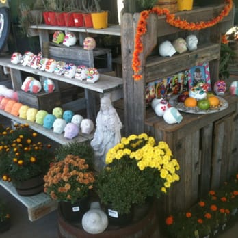 Pat's Plants - Day of the Dead display - Nurseries & Gardening Near Me - Grand Prairie, Texas Pat's Plants - Day of the Dead display - Nurseries & Gardening Near Me - Grand Prairie, Texas