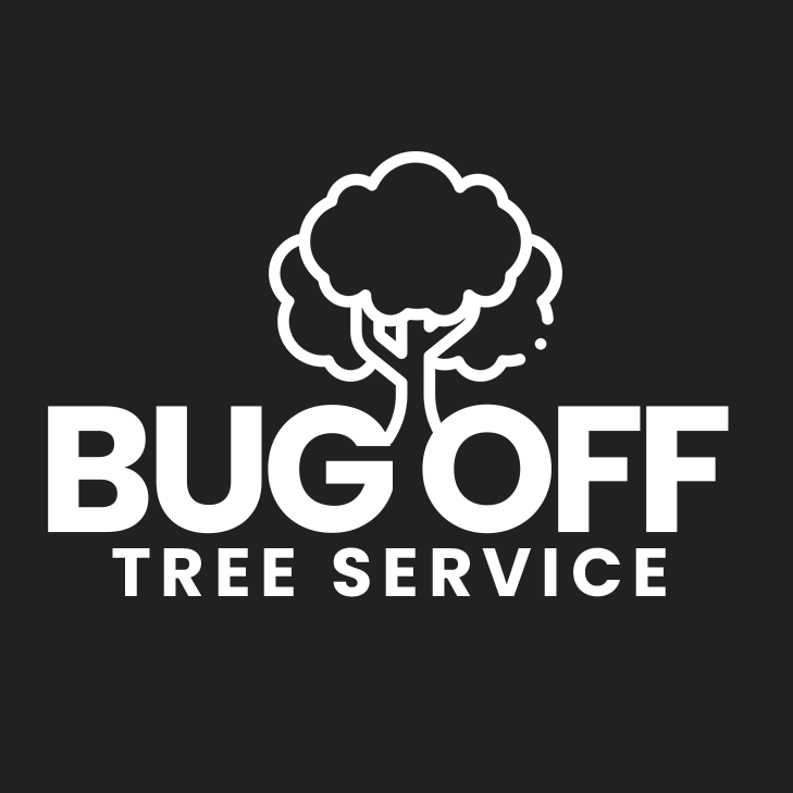 Bug Off Tree Service - tree service in Hamilton, MT