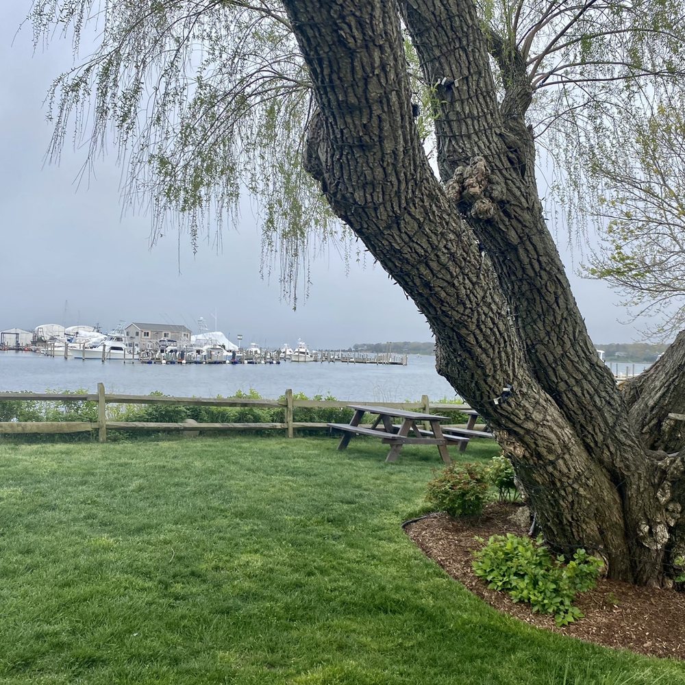 Cowfish - New American Near Me - Hampton Bays, New York