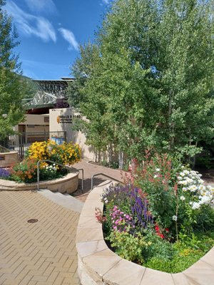Betty Ford Alpine Gardens by null