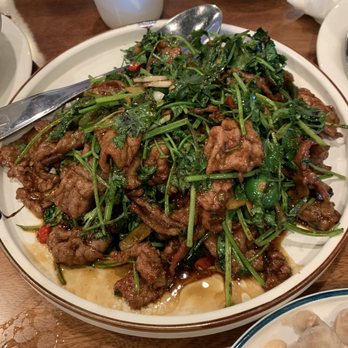 Tian Fu - Spicy Beef with fresh Peppers and Cilantro - Chinese Near Me - Seattle, Washington