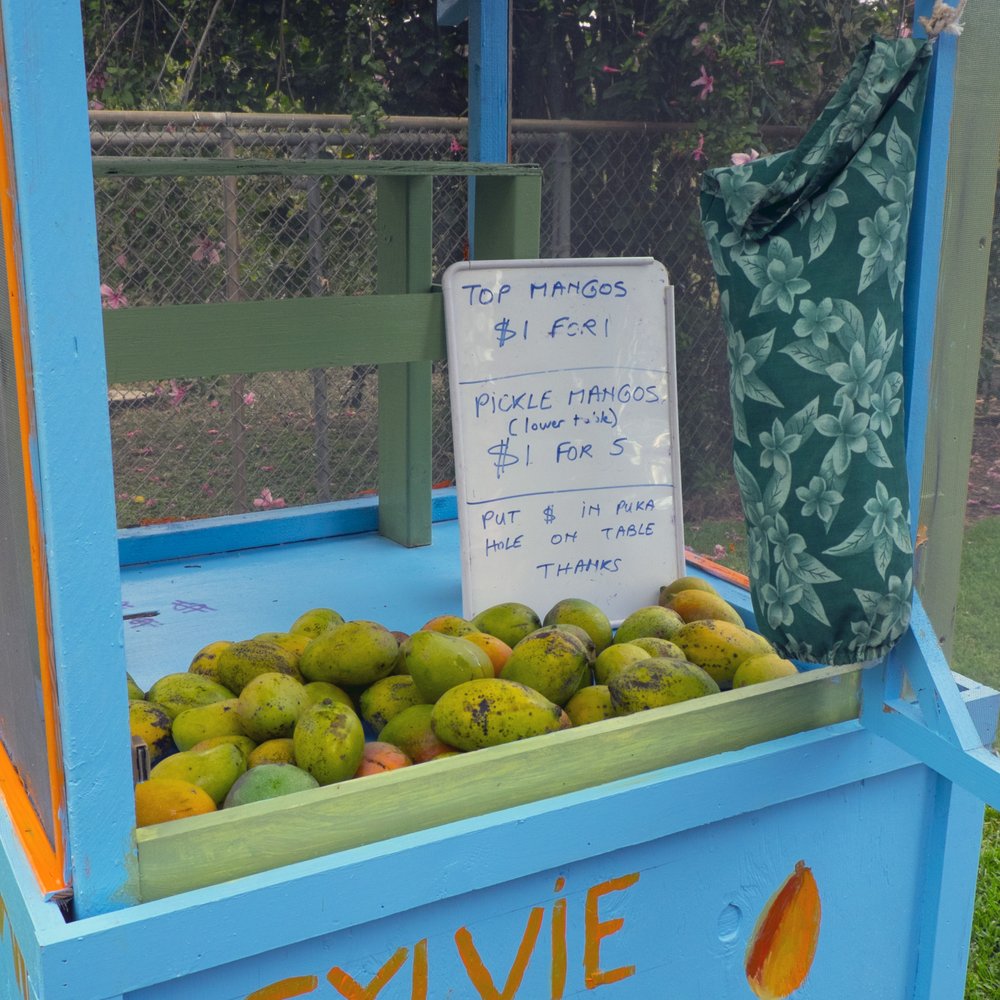 Crozier Beach - They only had pickle mangoes when I visited. - Beaches Near Me - Waialua, Hawaii Crozier Beach - They only had pickle mangoes when I visited. - Beaches Near Me - Waialua, Hawaii