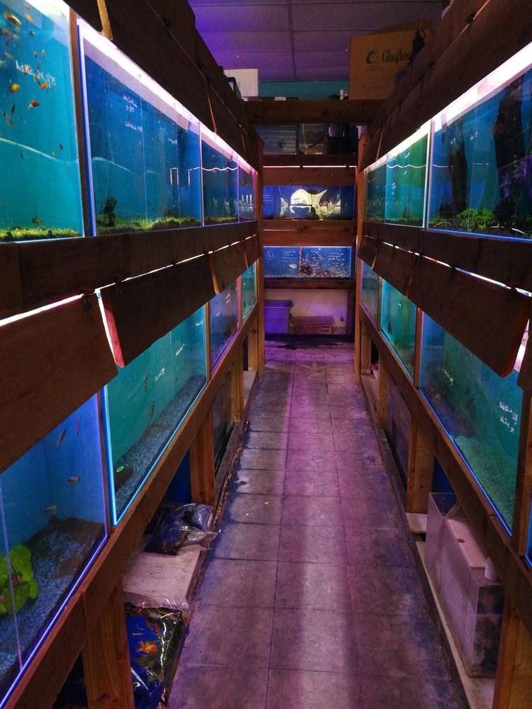 Pet world of Broward