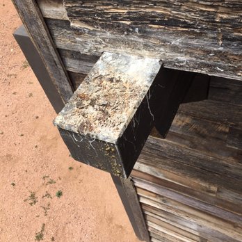 Friendly Pest Control - Before photo bird roosting site | Pest Control in Payson AZ | Pest Control Services Payson | Termite Exterminator in Payson - Pest Control Near Me - Payson, Arizona