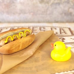 Notre Hot Duck