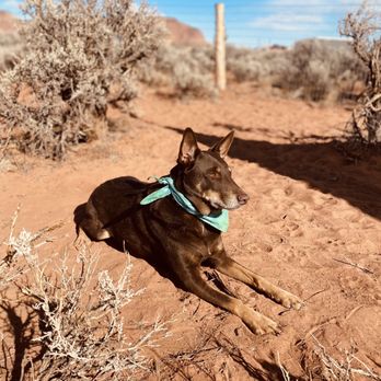 Dark Sky RV Campground - RV Parks Near Me - Kanab, Utah Dark Sky RV Campground - RV Parks Near Me - Kanab, Utah