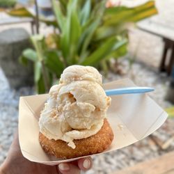 The Fat Donkey Ice Cream & Fine Desserts - Get the new special, Fried Peanut Butter & Jelly!! Topped with a scoop of Non-Dairy Coconut $6.95
