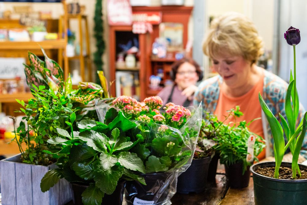 JJ FLORAL AND GIFTS Updated October 2024 10 Photos 14427 Hwy K