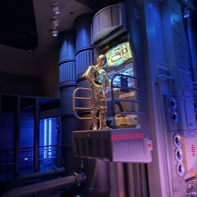 Disney's Hollywood Studios by null