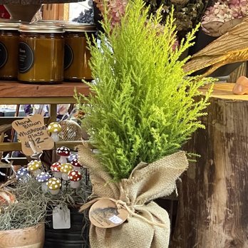 Lily Lane Farm - Gift shop - Nurseries & Gardening Near Me - Aberdeen, Washington Lily Lane Farm - Gift shop - Nurseries & Gardening Near Me - Aberdeen, Washington