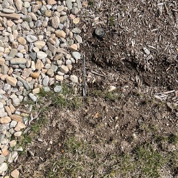 Live Earth New England - Landscaping Near Me