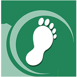 Suburban Foot Physicians