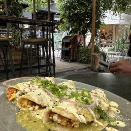 Enchiladas con verde salsa Enchiladas con verde salsa