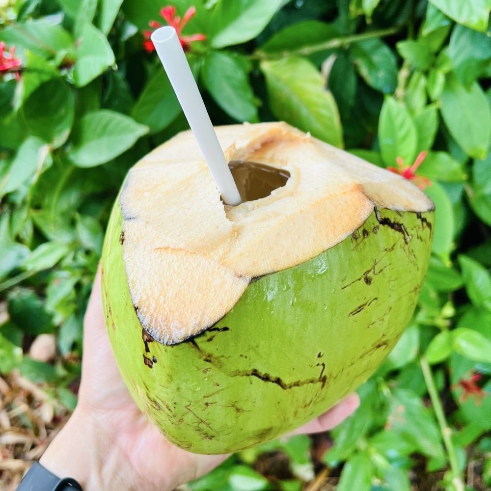 Twin Falls Trail - Fresh coconut water! - Hiking Near Me - Haiku, Hawaii Twin Falls Trail - Fresh coconut water! - Hiking Near Me - Haiku, Hawaii