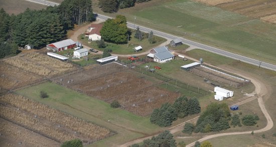 Wild Wings Game Farm Logo
