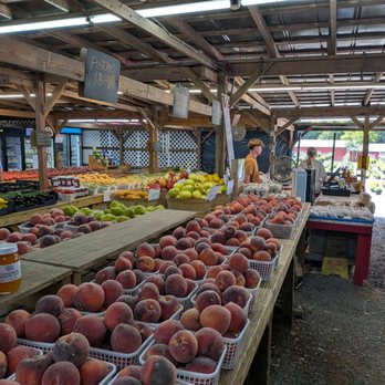 Triple A Farms - Nurseries & Gardening Near Me - Rockvale, Tennessee