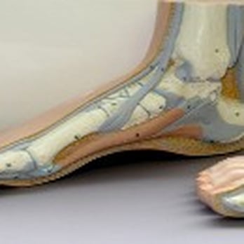 Jeffrey Miller, DPM, DABPS - Podiatrists Near Me - Norristown, Pennsylvania Jeffrey Miller, DPM, DABPS - Podiatrists Near Me - Norristown, Pennsylvania