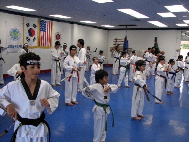 Master Hwang's World Martial Arts Logo