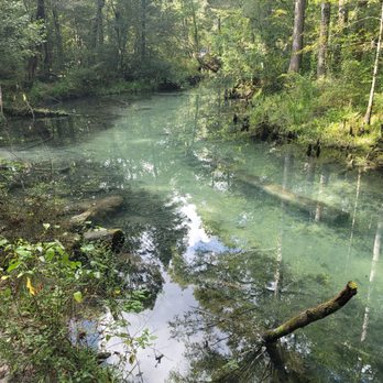 Ponce de Leon Springs State Park - Parks Near Me - Ponce De Leon, Florida Ponce de Leon Springs State Park - Parks Near Me - Ponce De Leon, Florida