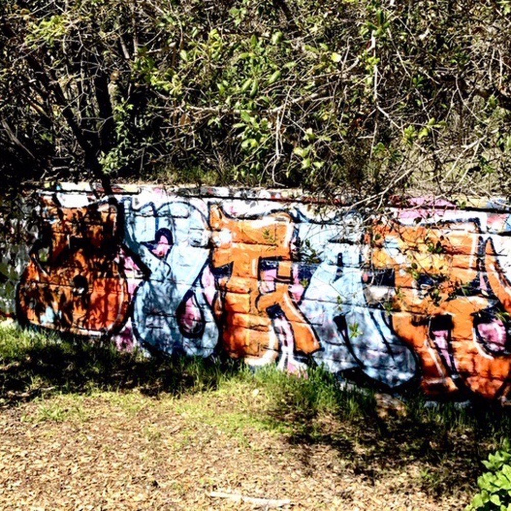 Murphy Ranch Trail - Hiking Near Me